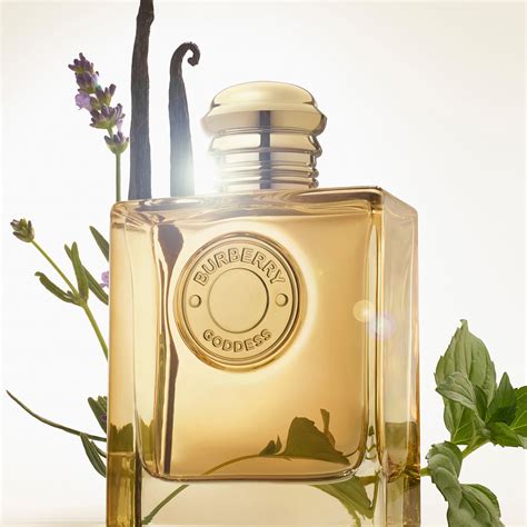 where can i buy burberry goddess perfume